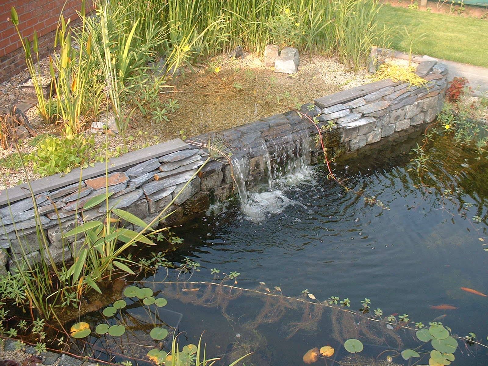 Tuinvijver met natuurstenen waterval